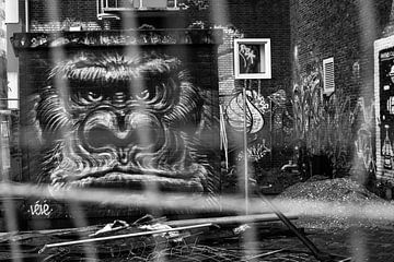 Photo en noir et blanc de graffitis de gorilles sur un terrain NDSM. sur Paul van Putten