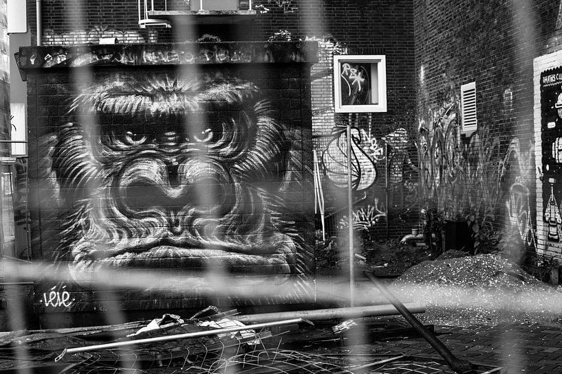 Photo en noir et blanc de graffitis de gorilles sur un terrain NDSM. par Paul van Putten