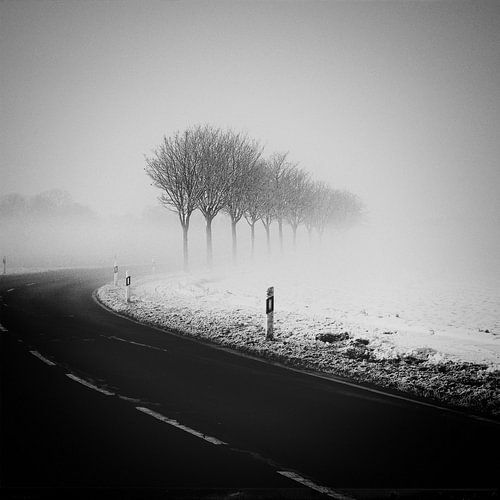 Brouillard hivernal