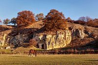 Herbst in Bemelen
