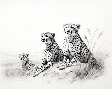 Schilderij Cheetah van ARTEO Schilderijen