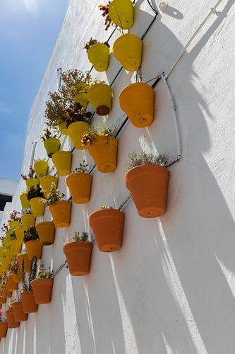 Kleurrijke bloemenpotten