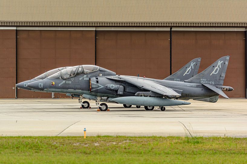 Two McDonnell Douglas TAV-8B Harriers. by Jaap van den Berg