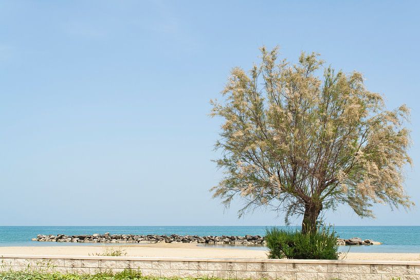 Die Ostküste Italiens von Aukelien Philips