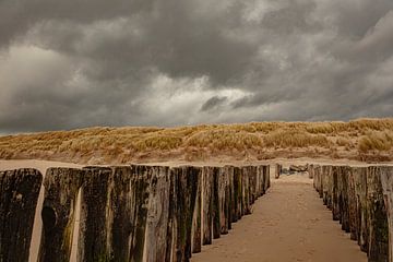 zeeland vakantieland1 van anne droogsma