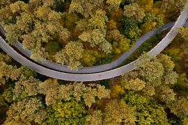 Cycling through the forest from the air by Ewold Kooistra