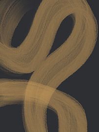 Laxius by Studio Palette