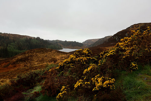 Scottish Highlands photo 2. The photo was taken long the west side of Scotland