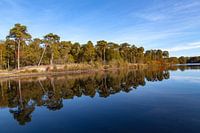 Reflections at Oisterwijkse Bossen en Vennen