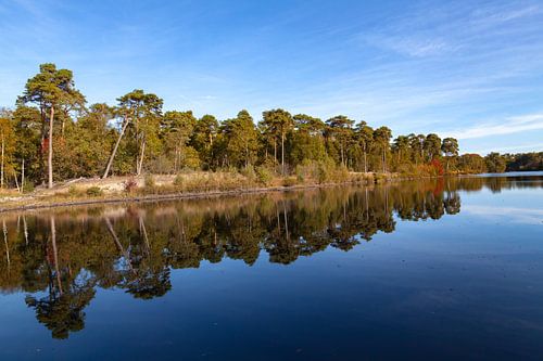 Reflecties bij de Oisterwijkse Bossen en Vennen