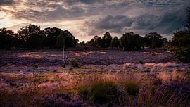 erdig breit von iwan faber