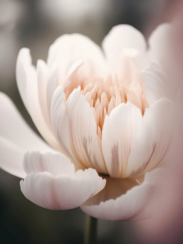 Pastel Nature Macro No 19