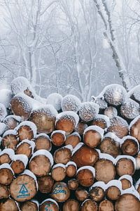 Schnee von Leanne Verdonk