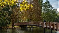 Nicolaas bridge zoetermeer village