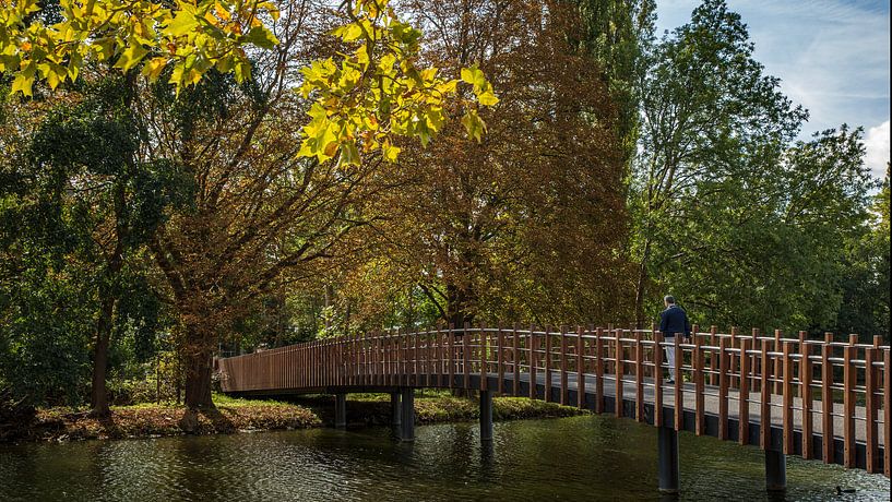 Nicolaasbrug zoetermeer dorp van Ton Van Zeijl