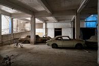 Verlaten Auto's Nicosia. van Roman Robroek - Foto's van Verlaten Gebouwen thumbnail