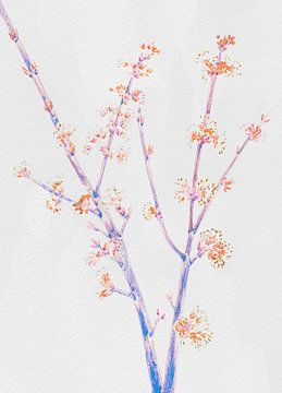 Gentle Romantic Cherry Branch by Mad Dog Art