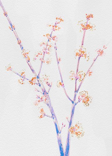 Doux rameau de cerisier romantique