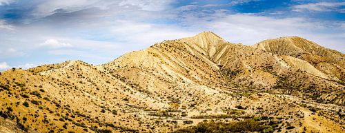Panorama Landschap Eenzaamheid Tabernas Woestijn in Almeria Andalucia Spanje