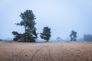 Silence glacial sur la plaine de sable
