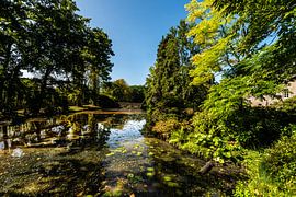 Schloss Arcen Gärten