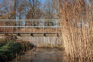 Dam in riviertje
