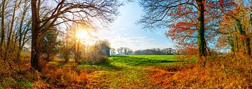 Landschap in de herfst van Günter Albers