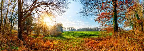 Landschaft im Herbst