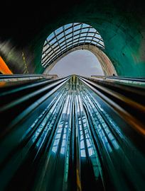 En mouvement sur Eefke Peeters