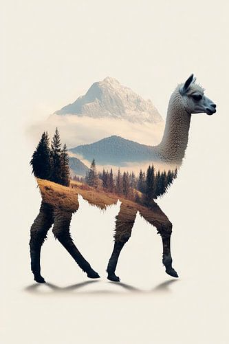 Lama in de natuur