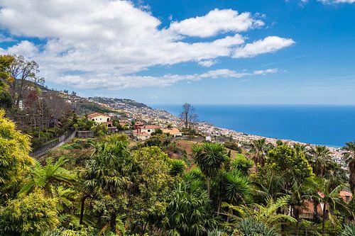 Gezicht op Funchal op Madeira