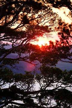 Coucher de soleil dans le parc national de Borovoye, Kazakhstan sur Sidney van den Boogaard