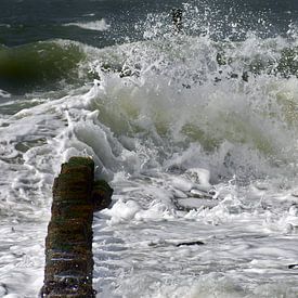 After the storm von Gijs Possel