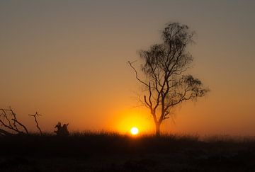 Zonsopkomst op de Veluwse heide van Harm Roseboom