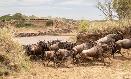 River crossing by Claudia van Zanten