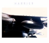 Harrier