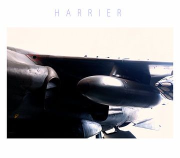 Harrier van CoolMotions PhotoArt