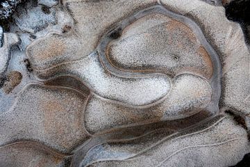 Sculpture de glace avec des nuances de brun sur Franke de Jong