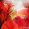 Ein Sommertag - roter Mohn von Annette Schmucker
