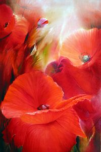 Un jour d'été - coquelicot rouge