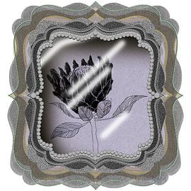 PROTEA GIFT BOX | Serie | NO.2 von XHOZUCAN