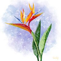Flower Motif - Strelitzia Bird of Paradise Flower