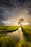 Dunkle Wolken über dem Polder