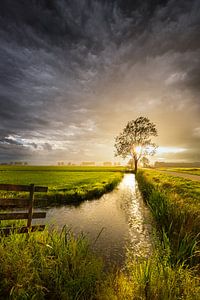 Dunkle Wolken über dem Polder