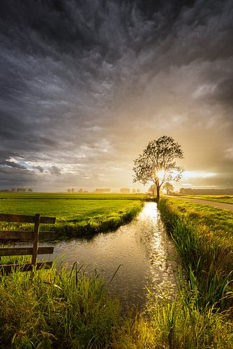 Donkere wolken boven de polder