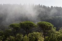 Toscane