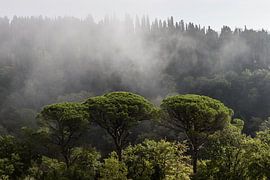 Toscane by Henri Kok