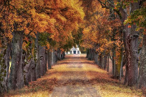 Ukna gård 2025