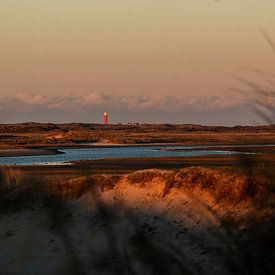 Uitzicht over De Slufter en Vuurtoren Texel bij zonsondergang op de Waddeneilanden van Phillipson Photography