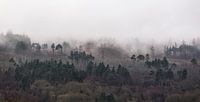 Mistig berglandschap